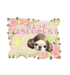 チワワのろよです♪（個別スタンプ：33）