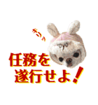 チワワのろよです♪（個別スタンプ：37）