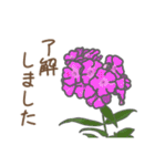 お花敬語（個別スタンプ：9）