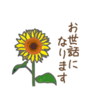 お花敬語（個別スタンプ：14）