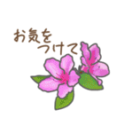 お花敬語（個別スタンプ：22）