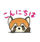 レッサーパンダのぽんぽりん（個別スタンプ：1）