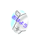 白イルカ  夏  beluga（個別スタンプ：1）