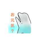 白イルカ  夏  beluga（個別スタンプ：6）