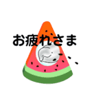 白イルカ  夏  beluga（個別スタンプ：8）