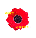 大切な人へのありがとうの気持ちスタンプ（個別スタンプ：9）