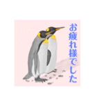 神在月のペンギンスタンプ9（個別スタンプ：7）