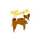 dog_momo_shiba（個別スタンプ：1）