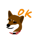 dog_momo_shiba（個別スタンプ：3）