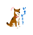 dog_momo_shiba（個別スタンプ：7）