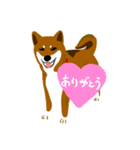 dog_momo_shiba（個別スタンプ：9）