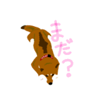 dog_momo_shiba（個別スタンプ：11）