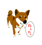 dog_momo_shiba（個別スタンプ：14）