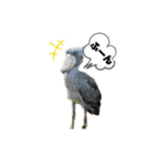 Doberman Jazio #2（個別スタンプ：8）