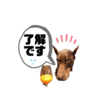 Doberman Jazio #2（個別スタンプ：29）