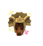 Doberman Jazio #2（個別スタンプ：31）