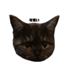 ゆずわさ（個別スタンプ：13）