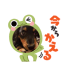 もずくくん‪‪❤︎‬（個別スタンプ：4）