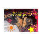 もずくくん‪‪❤︎‬（個別スタンプ：7）
