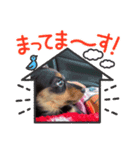 もずくくん‪‪❤︎‬（個別スタンプ：8）