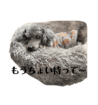 ティアばあちゃんとあめときき1（個別スタンプ：9）