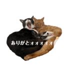 ティアばあちゃんとあめときき1（個別スタンプ：14）