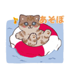 猫のアウトドア・旅行スタンプ（個別スタンプ：20）