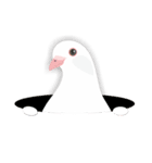 羽戸鳩ぽっぽ―リスペクトLINEスタンプ（個別スタンプ：3）