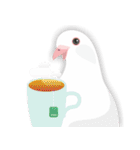 羽戸鳩ぽっぽ―リスペクトLINEスタンプ（個別スタンプ：9）