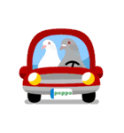 羽戸鳩ぽっぽ―リスペクトLINEスタンプ（個別スタンプ：14）