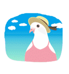 羽戸鳩ぽっぽ―リスペクトLINEスタンプ（個別スタンプ：38）