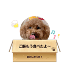 くぅそら②（個別スタンプ：1）