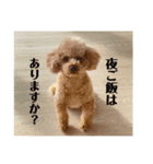 くぅそら②（個別スタンプ：4）