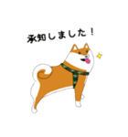 柴犬のしんくん（丁寧な言葉）（個別スタンプ：7）