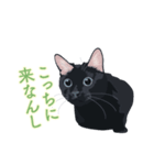 花魁が、生まれ変わってみたら黒猫に♪再販（個別スタンプ：3）