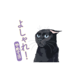 花魁が、生まれ変わってみたら黒猫に♪再販（個別スタンプ：4）