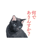 花魁が、生まれ変わってみたら黒猫に♪再販（個別スタンプ：6）