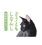 花魁が、生まれ変わってみたら黒猫に♪再販（個別スタンプ：7）