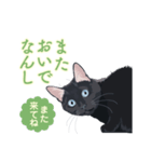 花魁が、生まれ変わってみたら黒猫に♪再販（個別スタンプ：8）