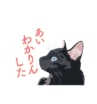 花魁が、生まれ変わってみたら黒猫に♪再販（個別スタンプ：10）