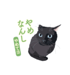 花魁が、生まれ変わってみたら黒猫に♪再販（個別スタンプ：11）