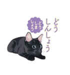 花魁が、生まれ変わってみたら黒猫に♪再販（個別スタンプ：14）