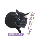 花魁が、生まれ変わってみたら黒猫に♪再販（個別スタンプ：22）