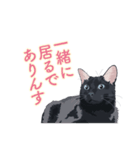 花魁が、生まれ変わってみたら黒猫に♪再販（個別スタンプ：24）