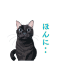 花魁が、生まれ変わってみたら黒猫に♪再販（個別スタンプ：25）