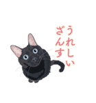 花魁が、生まれ変わってみたら黒猫に♪再販（個別スタンプ：27）