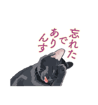 花魁が、生まれ変わってみたら黒猫に♪再販（個別スタンプ：28）