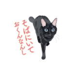 花魁が、生まれ変わってみたら黒猫に♪再販（個別スタンプ：30）