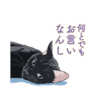 花魁が、生まれ変わってみたら黒猫に♪再販（個別スタンプ：31）