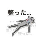 サウナは楽園（個別スタンプ：5）